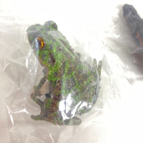 Mini Figura Anfibio Bandai Gashapon 01 Rana de Isikawa importación Japón - Imagen 3 de 6