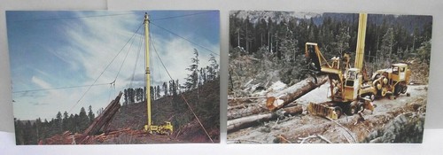 Vintage OLD GROWTH LOGGING POSTCARD YARDER LOADER WASHINGTON IRON WORKS Lot Of 2 - Picture 2 of 7