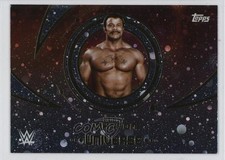 2025 Topps Universe WWE Legends Galaxy Rocky Johnson #184 13ql