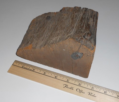 Civil War Bullet In Tree Chunk Wood Nail War Artifact Minie Ball History USA