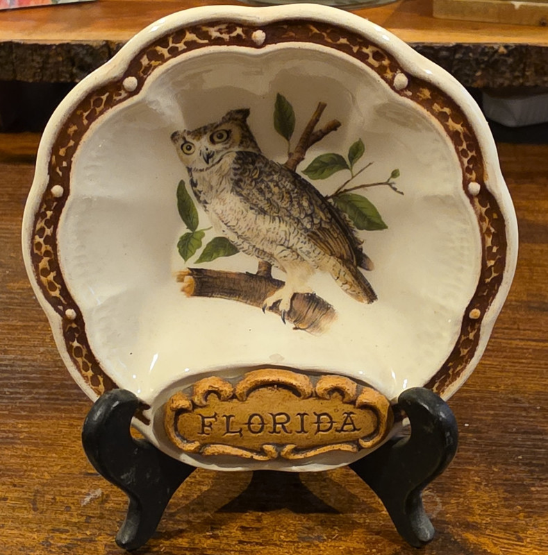 Florida Souvenir Decorative Plate - Owl Design Florida State Collectible Decor
