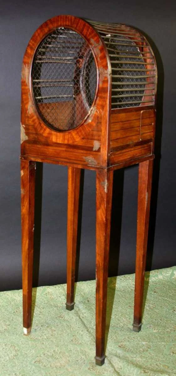 AVIARY. INLAID WOODS. BRONZE. STYLE ADAM. ENGLAND. XIX.