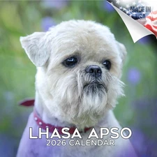 Lhasa Apso Dog Breed Calendar 2026 FULL SIZE 12x24 Made in USA
