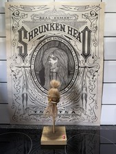 Shrunken head hand made ecuador, animal skin and hair on stand Tsantsa No15a