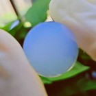 Foto 6 di 7