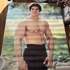 VINTAGE POSTER LOU FERRIGNO 1979