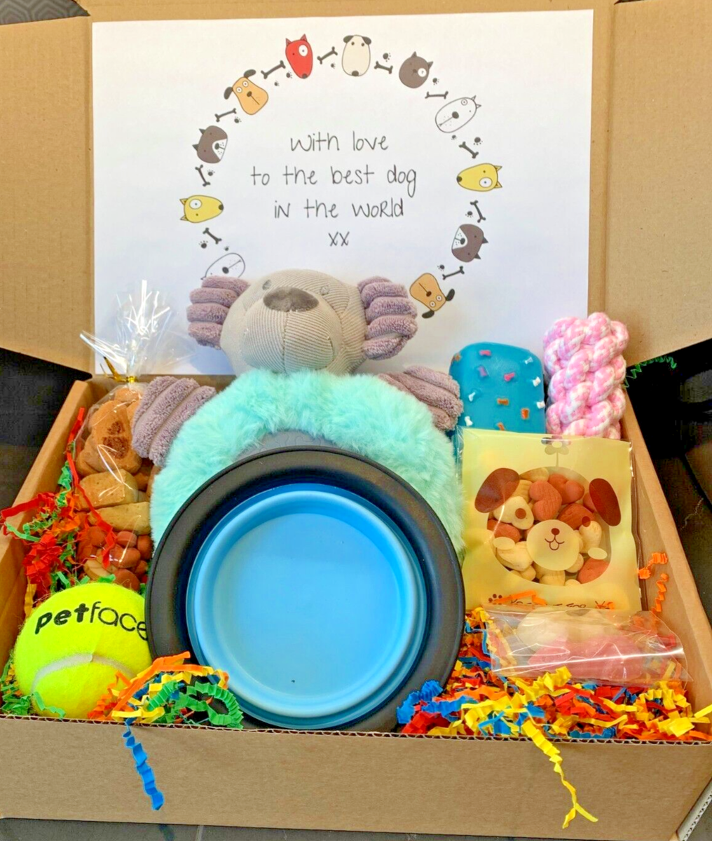 Dog Gift Box Hamper Birthday Treat Pamper Selection Toy Present Doggy Puppy