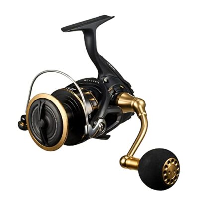 Daiwa 23 BG SW 6000D-H 2023 Model Reel Express Delivery from JP