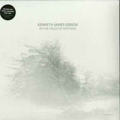 Kenneth James Gibson / IN THE FIELDS OF NOTHING (LP+DL) / Kompakt / Kompakt 381