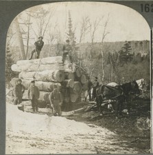 OCCUPATION, LOGGING + HORSES, VINT STEREOVIEW