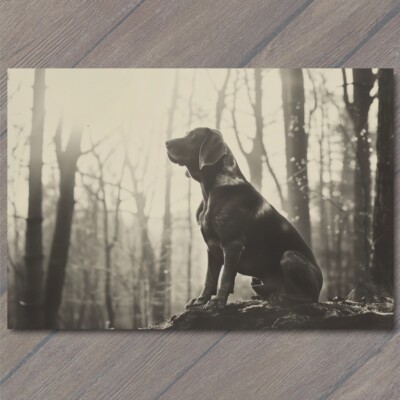 Art Print Bloodhound Dog Woods Dog Hunting Hound Trees Retro Forrest Fun Puppy