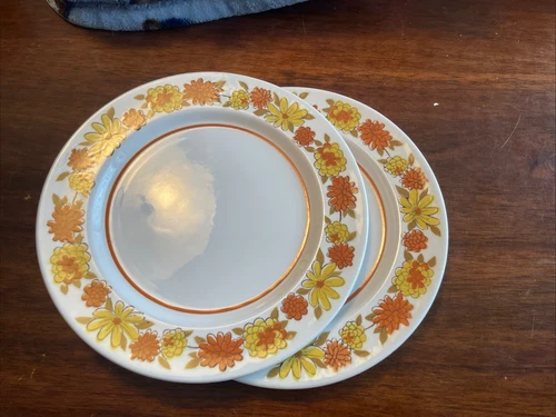 Set of 2 Vtg Mikasa Mediterrania Judy Sue Salad Plates Japan Retro Floral