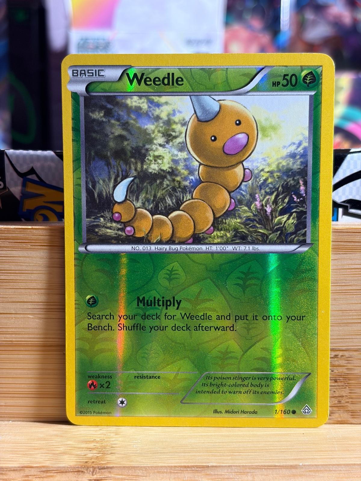 WEEDLE 1/160 Primal Clash C Reverse Holo Pokemon TCG LP