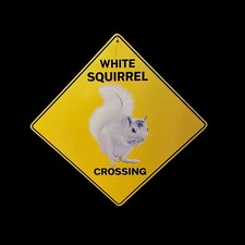 White Squirrel Crossing Signs 12"x12" Metal