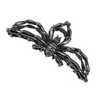 Afbeelding 13 van 13