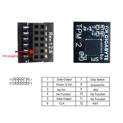 TPM 2.0 Sicherheitsmodul SPI 12Pin/ LPC 20Pin für GIGABYTE GC-TPM20 Plattform