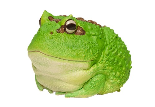 【Auf Lager】 Tier himmlischer Körper Ceratophrys Pacman gehörnter Frosch grüne Statue - Bild 6 von 10