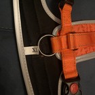 New Supet XL Dog No Pull Harness Bright Orange. — photo 6