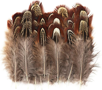 50 Pcs Natural Pheasant Feathers 2-3 Inches Plumage for Crafts Clothing Sewing