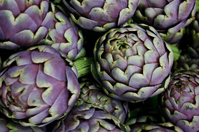 Artichoke 'Green Globe' or Purple Romagna - 30 seeds