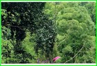 Bild 184 von 187