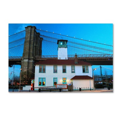 ''Brooklyn 1'' Artwork by CATeyes, 22 by 32-Inch