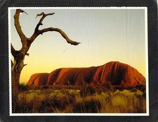 C2479 Australia NT Ayers Rock Uluru Morning Light postcard