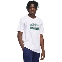Koszulka MęSka Adidas Sportsman Mountain Graphic BiałA KC9254 Koszulka MęSka Adi
