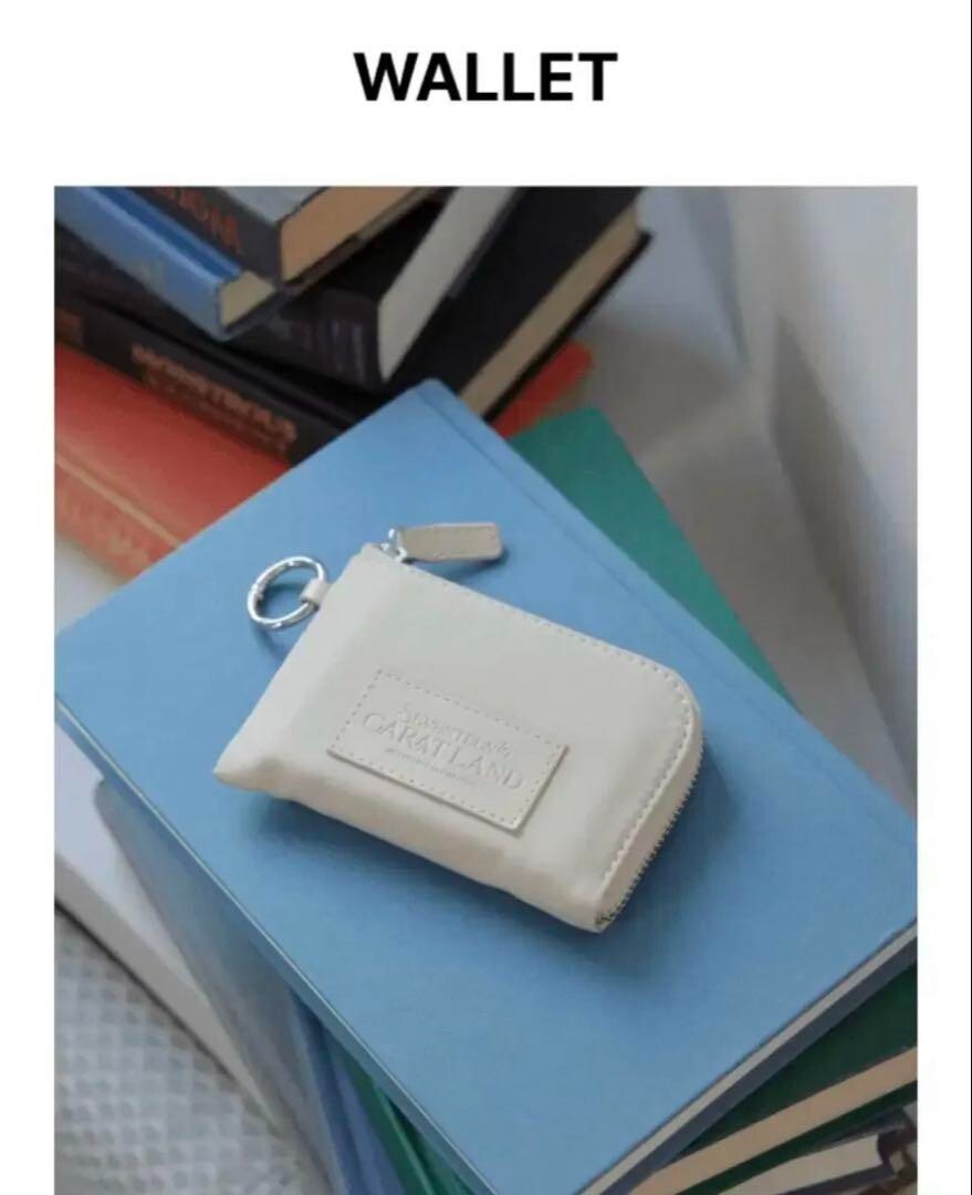 SEVENTEEN winter 257枚 & トレカ 付 未開封 ウォレット seventeen