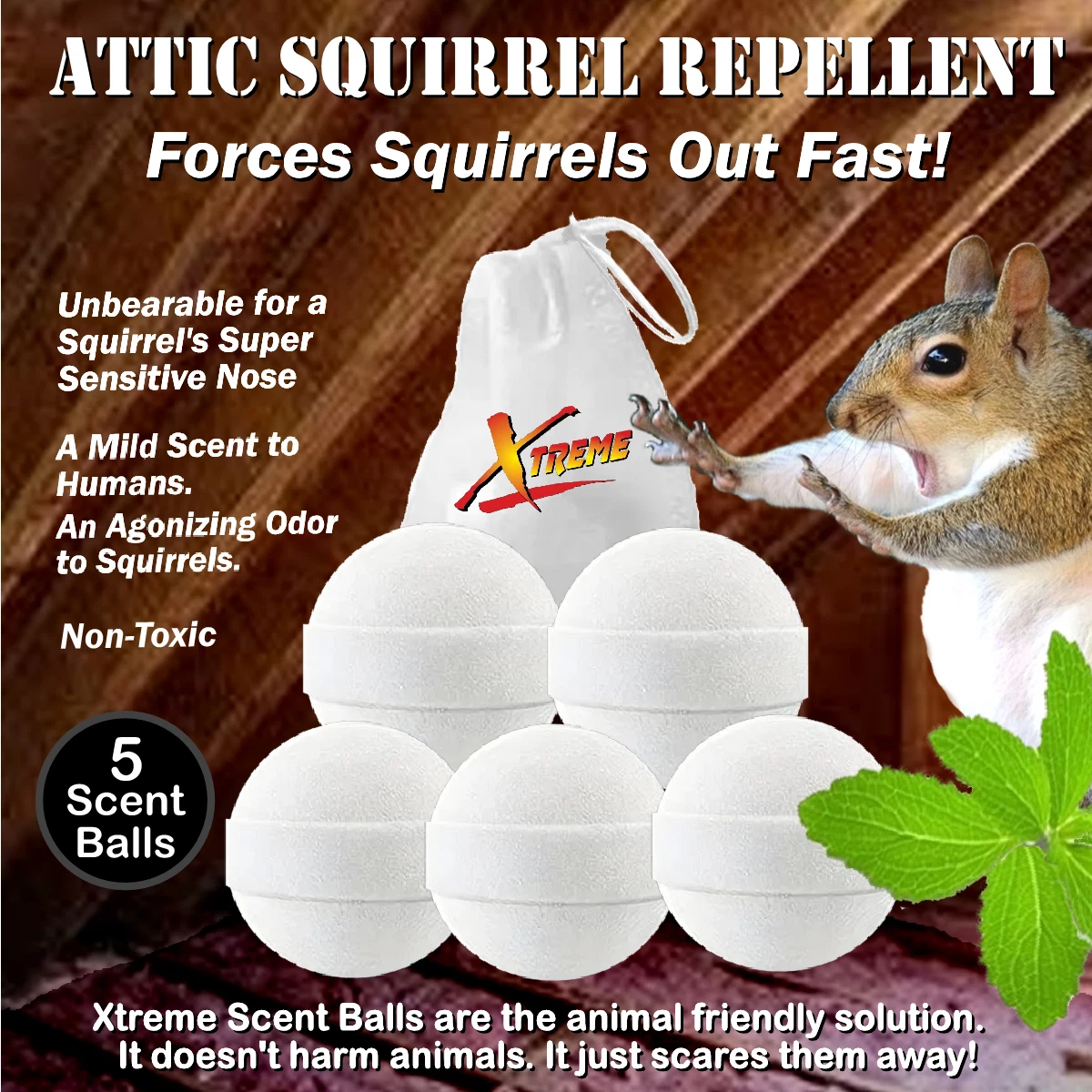 Squirrel deterrent sale