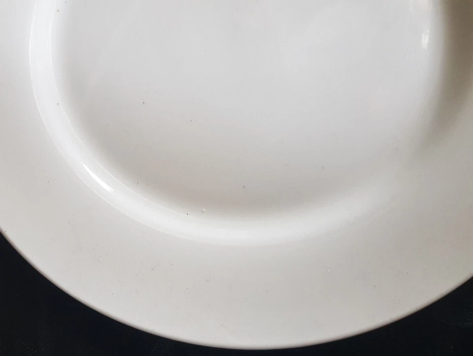 Vega Porzellan Speiseteller weiß 27 cm Rand 4 cm - Bild 2 von 3