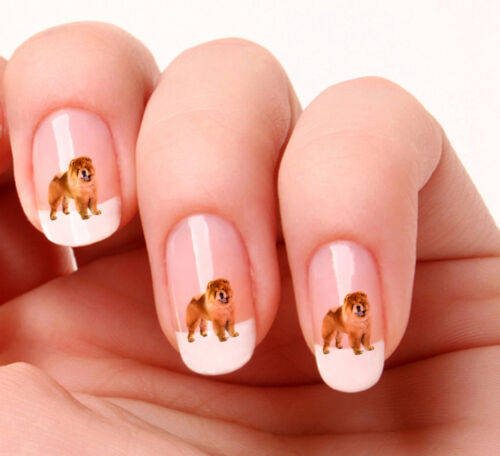 20 Nail Art Decals Transfers Stickers #695  Chow Chow dog -  peel & stick - Afbeelding 1 van 1