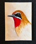 Bild 5 von 5