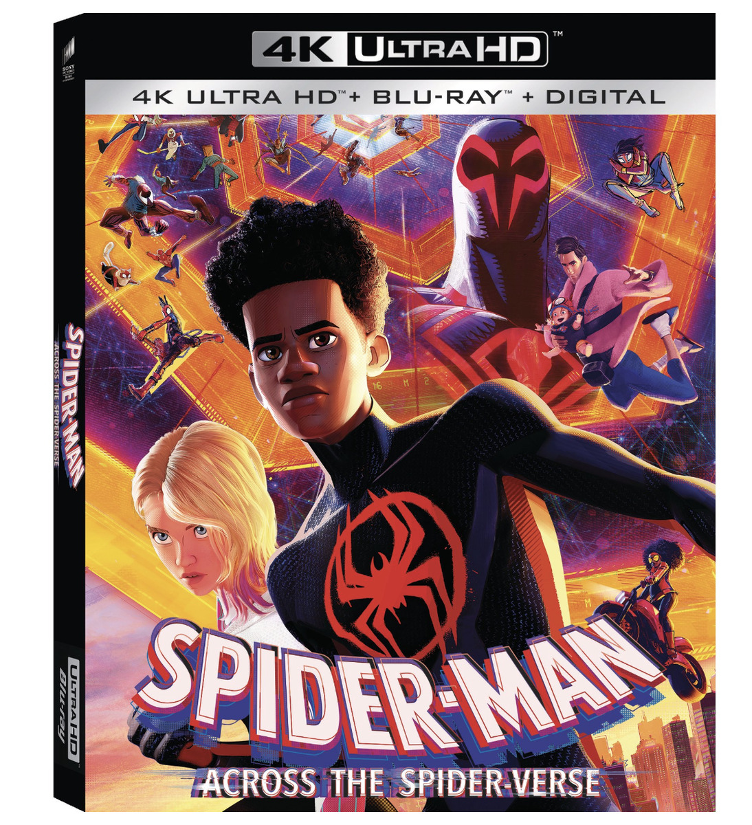 Spider-Man: Across the Spider-Verse/Spider-Man: Into The Spider-Verse  (Blu-Ray + Digital Copy) 