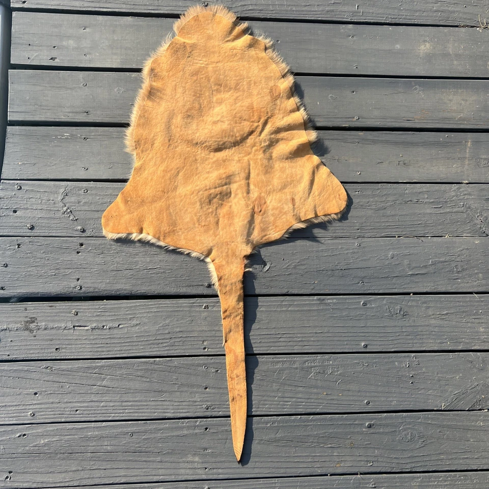 "Alfombra de piel de animal canguro curtido australiano genuino, piel piel piel cuero 46""" Foto 3 de 4