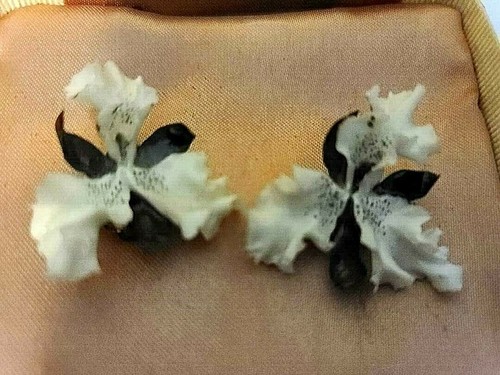 VINTAGE NIB BEAUTIFUL ROYAL CROWN DERBY CHINA CLIP ON EARRINGS - Picture 3 of 5