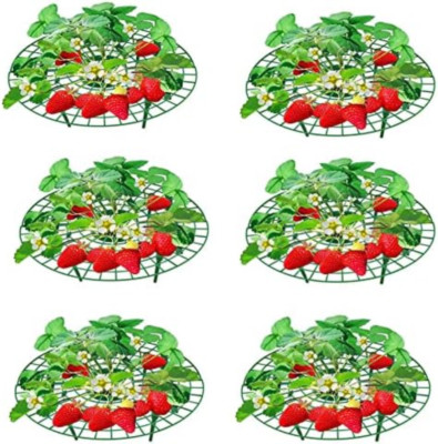 Set 10 Supporto Per Fragole Nell'orto Acquista QUI - Foto 4