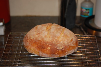 Dough Dough – Starter Lievito Madre Essiccato Stile San Francisco - Foto 6