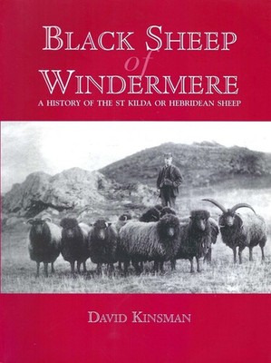 Black Sheep of Windermere - A History of the St Kilda or Hebridean Sheep