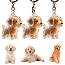YUNBIAOSEN 3PCS Dog Hair Collector Keychain Charm Memorial Storage Box, Trans...