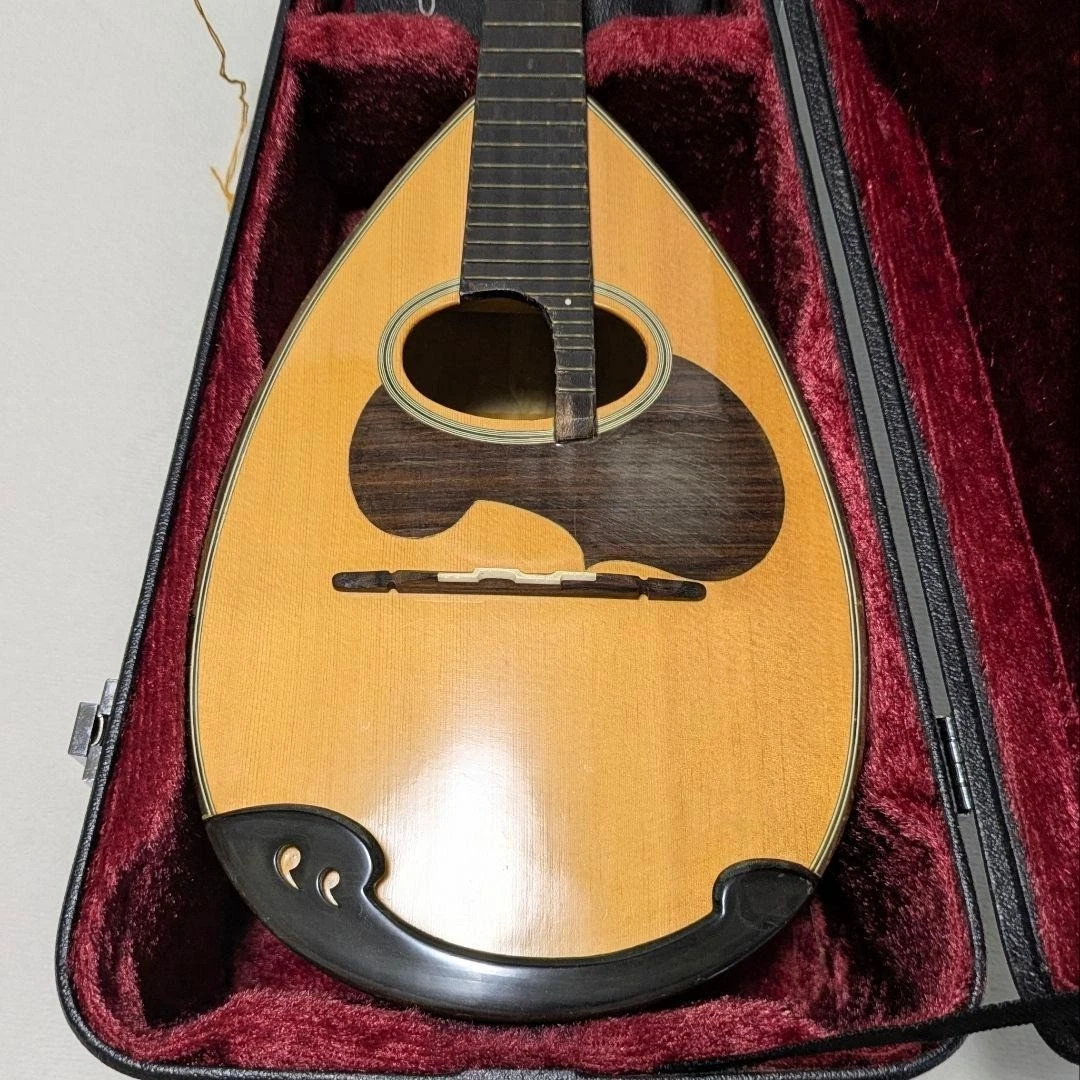 Suzuki Mandolins for sale - eBay