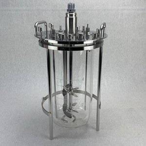 Sartorius 1.4404/2868 4L Liter Glass Vessel Bioreactor G-15239
