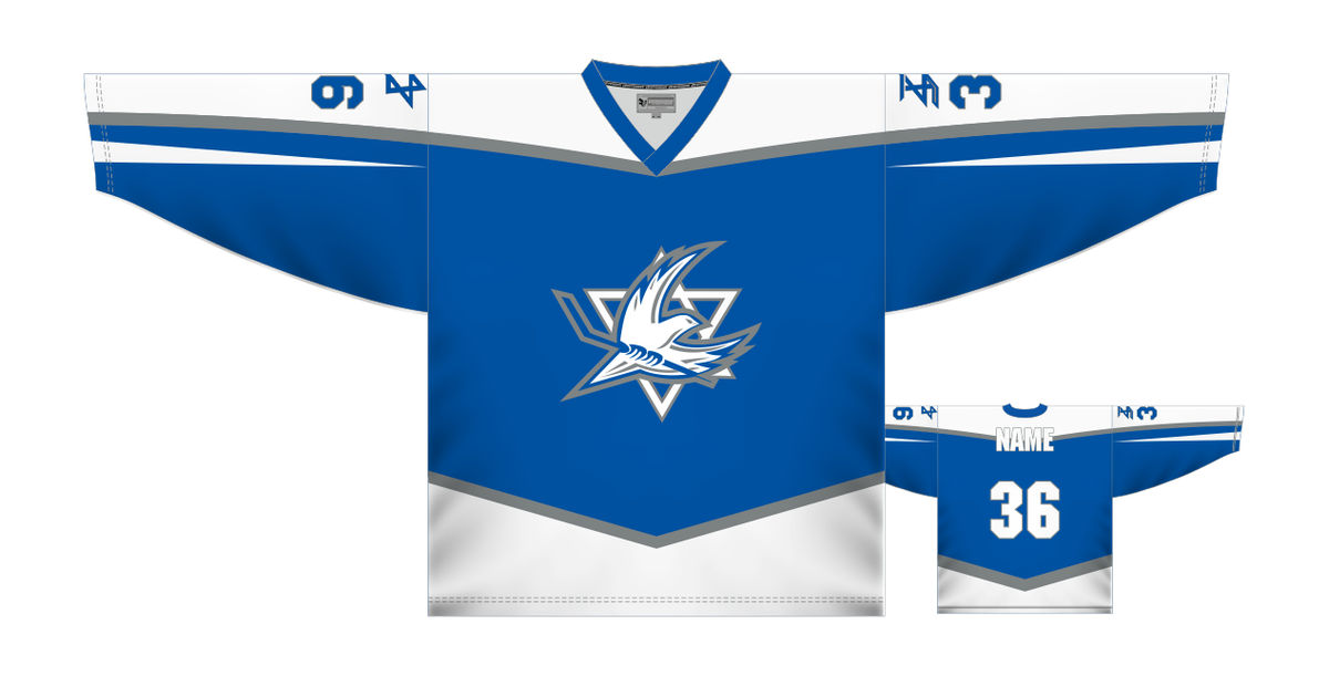 Team Israel Blue Ice Hockey Jersey Custom Name and Number