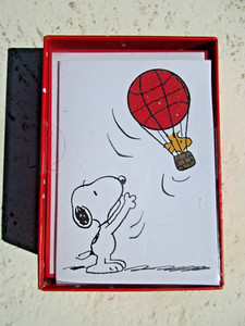 NEW Peanuts Snoopy Woodstock 16 Blank Note Cards & Envelopes ~ Graphique W6088CB
