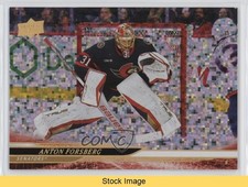 2024-25 Upper Deck Series 2 Rainbow Speckled Foil Anton Forsberg #371 READ 6kv