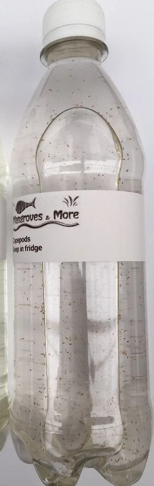 1000 ml Hoch Konzentrat copepods Koralle Futter - Bild 4 von 4