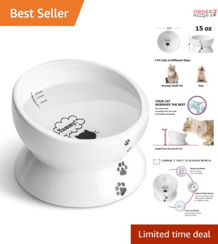 Dishwasher Safe 15oz Elevated Pet Bowl for Cats & Small Dogs - Modern Design