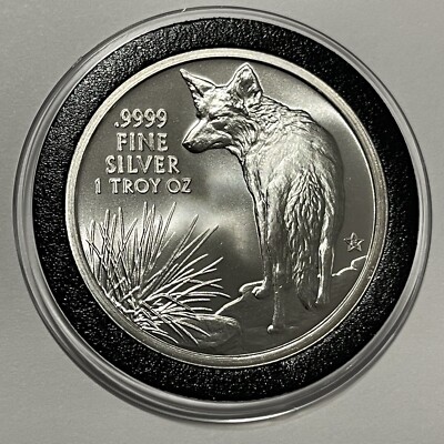 【レア物】90's TOO CUTE USA製 値下げしました！ USA - 2003D - Sacagawea - 1$ Coin - Rare - #11127 | eBay