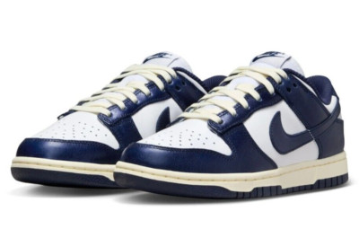 Nike Dunk Low Premium Leather Basketball Sneaker Shoes FN7197-100 US W 8.5 / M 7
