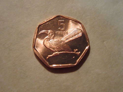 1998 Botswana coin 5 Thebe Toko Bird unc beauty 7 sides AFRICA ebayship